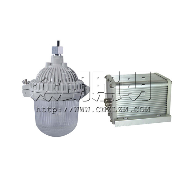 NFE9112應(yīng)急平臺(tái)燈